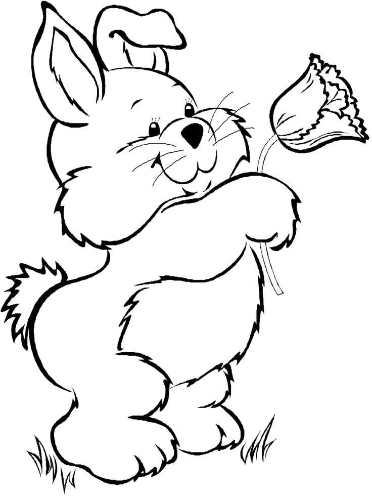 Bunny Couple Coloring Page