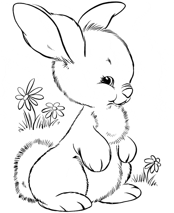 Bunny For Kids Picture Coloring Page
