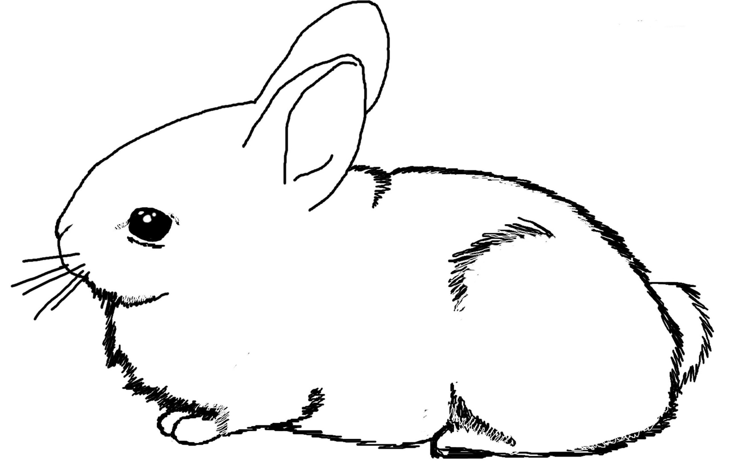 Bunny Painting Printable Coloring Page