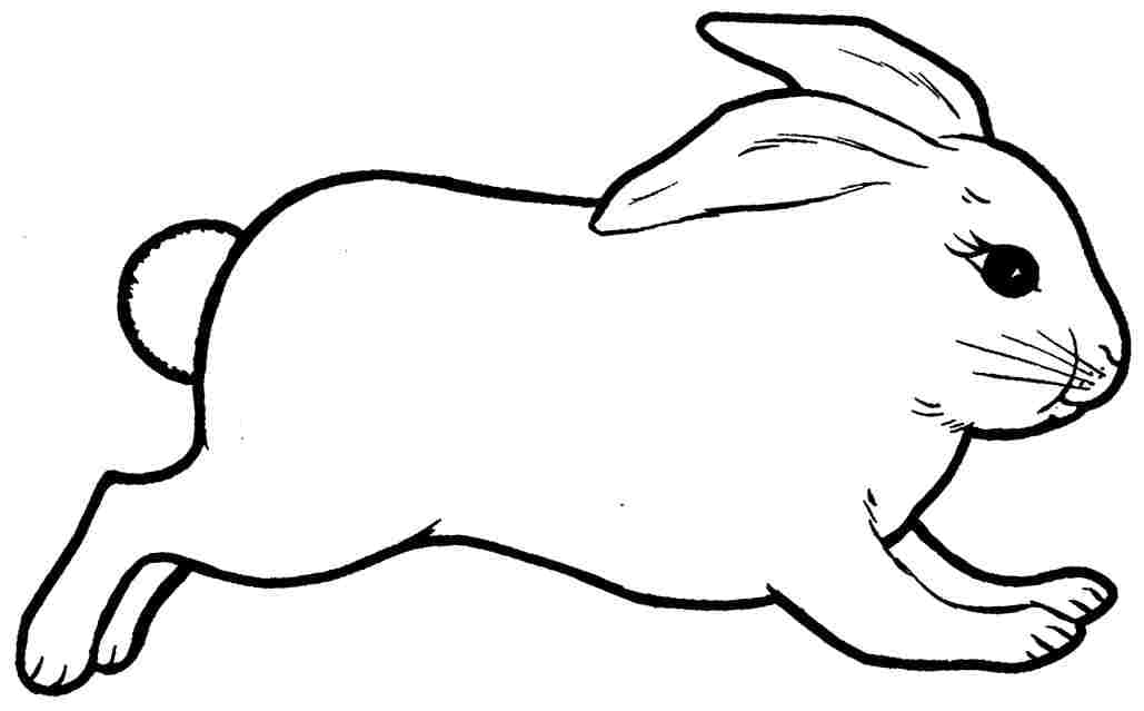 Bunny Rabbit Cute Coloring Page
