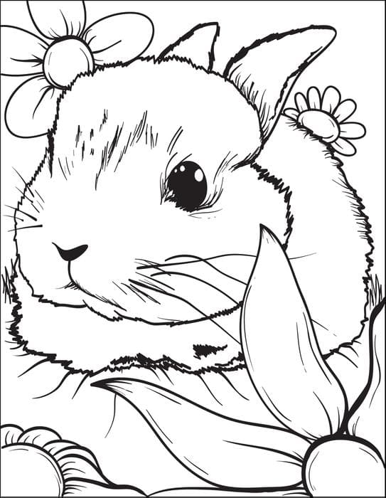 Bunny Sweet Image Coloring Page