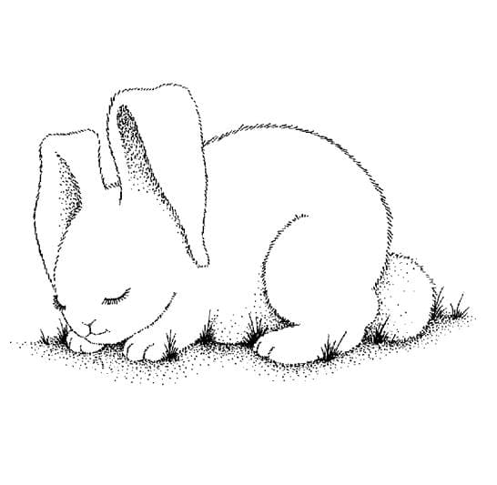 Bunny Coloring Page