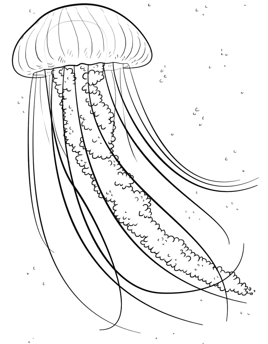 Can You Find Letter J On Jellyfish Image Coloring Page