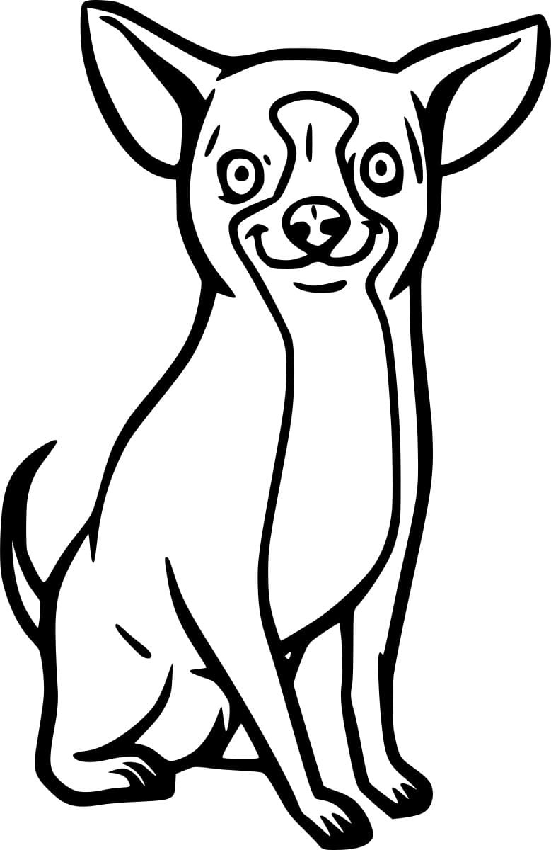 Cartoon Chihuahua Coloring Page