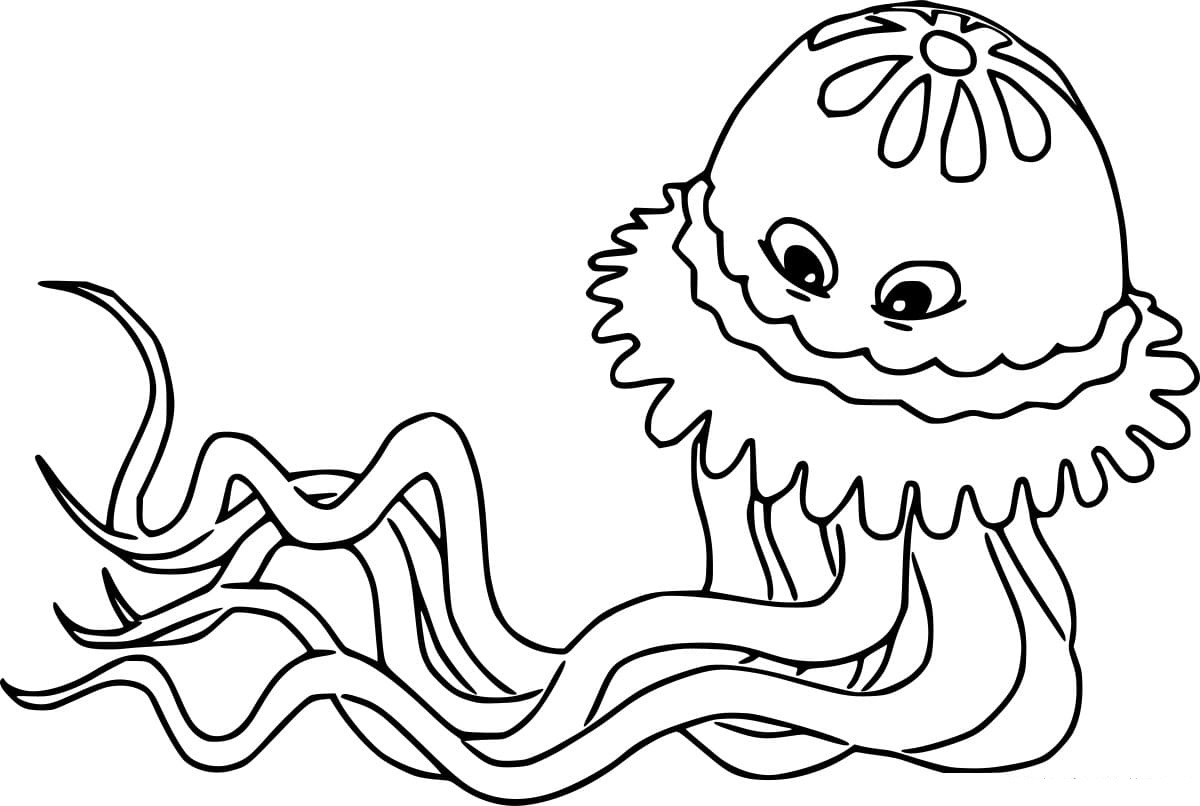 Cartoon Compass Jellyfish Coloring Page