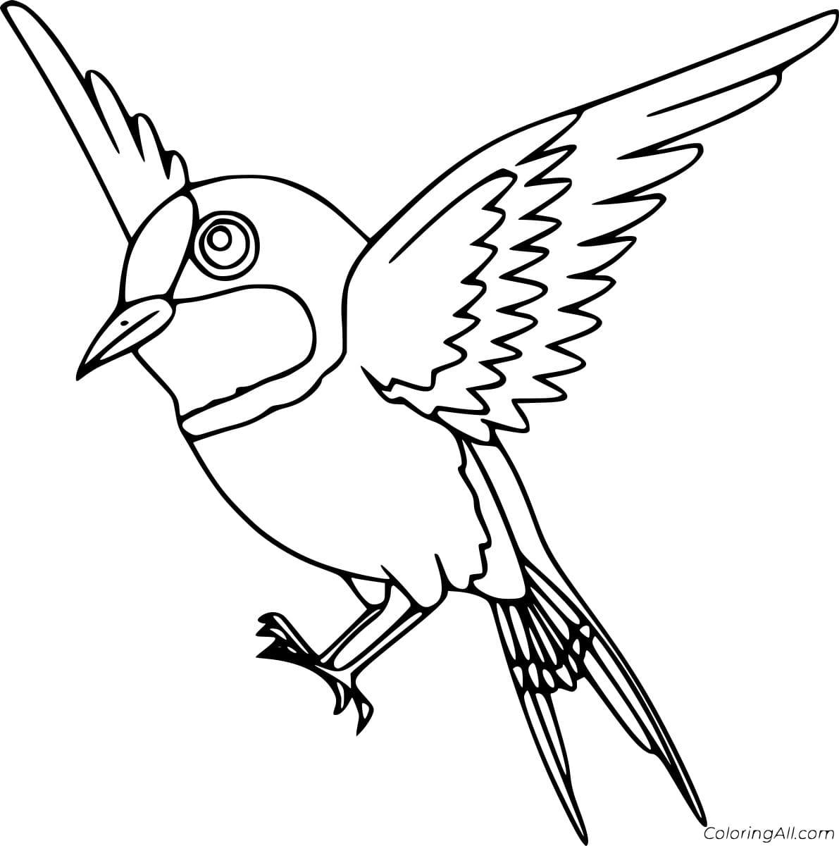Cartoon Flying Robin Coloring Page