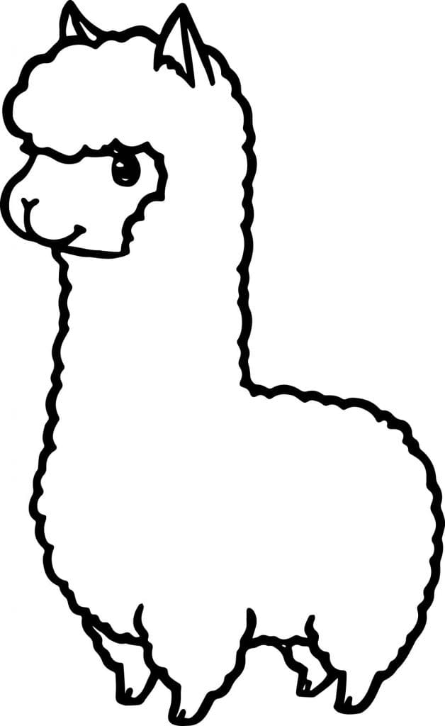 Cartoon Llama Drawing