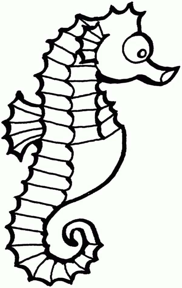 Cartoon Seahorse For Kids Coloring Page