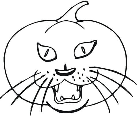 Cat Pumpkin Image Coloring Page