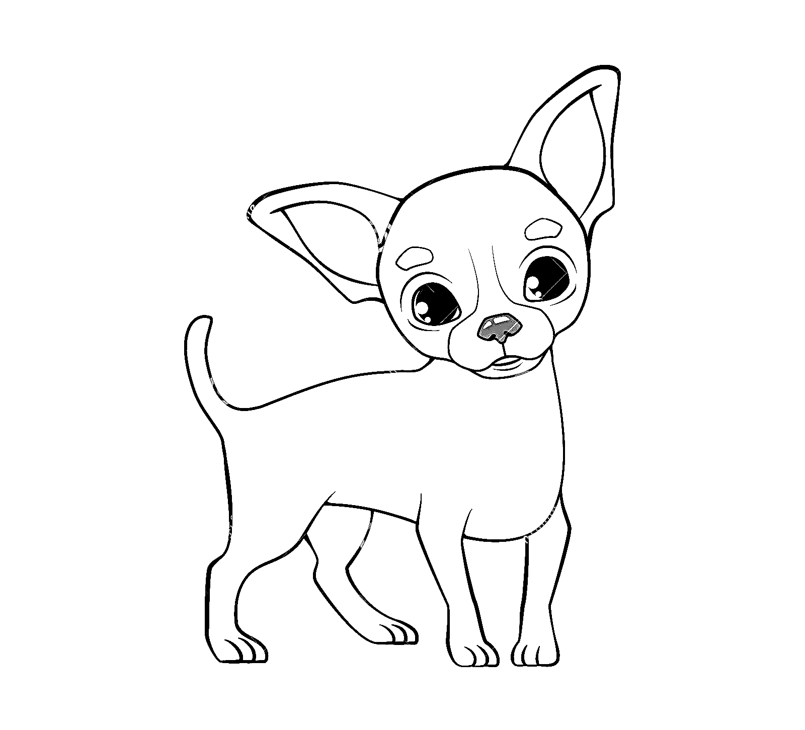 Chihuahua Cute Image Coloring Page