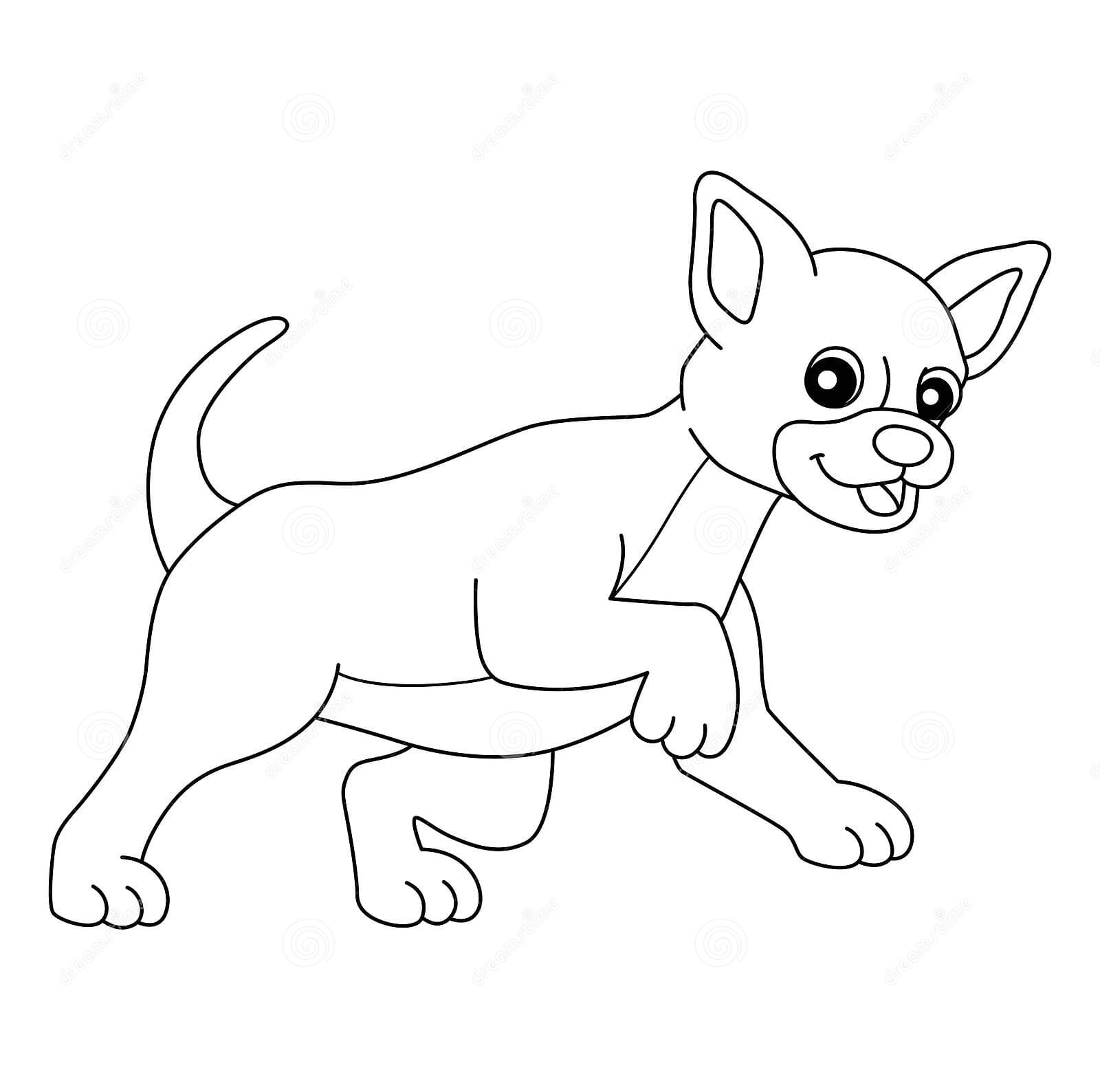 Chihuahua Dog Beautiful Image Coloring Page