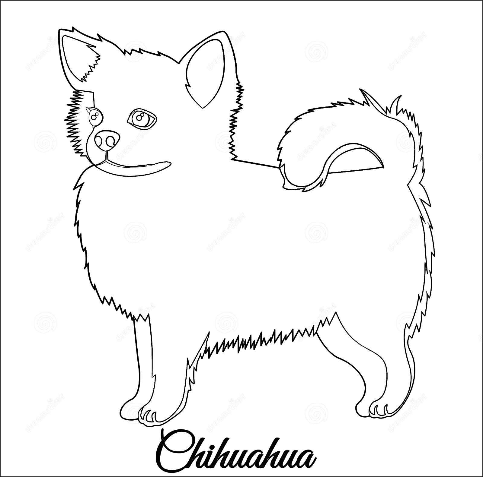 Chihuahua Dog Outline Coloring Page