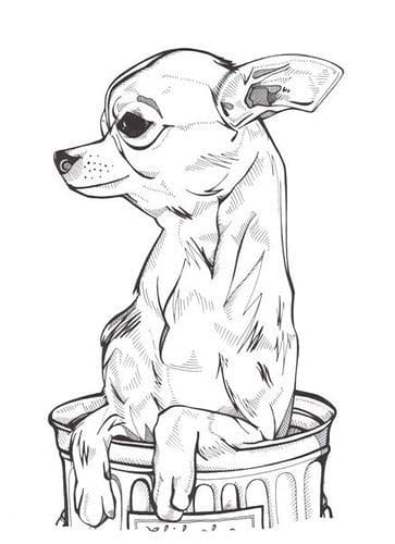 Chihuahua Dog Painting Coloring Page