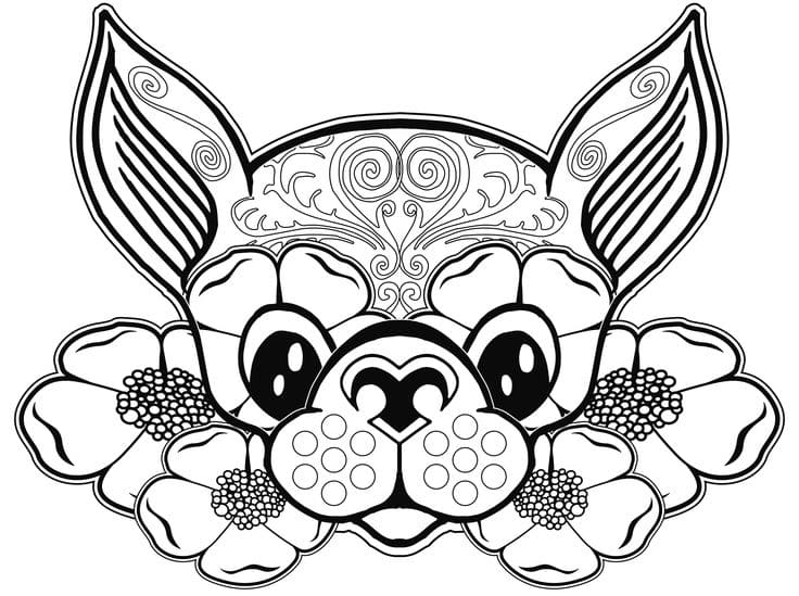 Chihuahua Dog Sweet Coloring Page