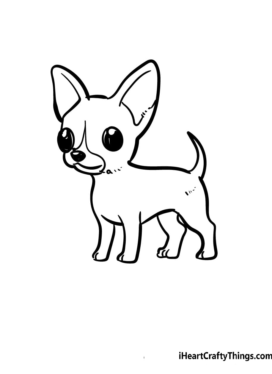 Chihuahua For Children Image Coloring Page