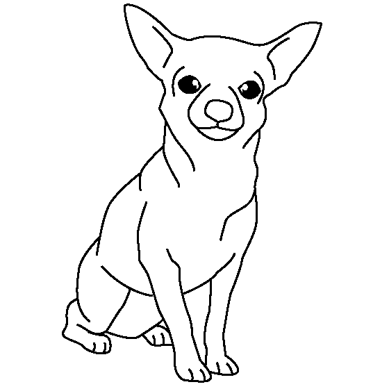 Chihuahua For Kids Lovely Coloring Page