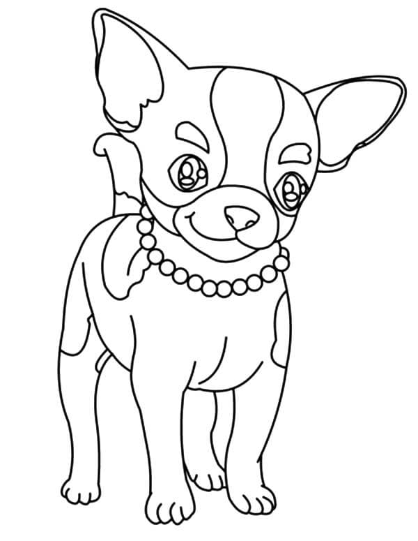 Chihuahua For Kids Sweet Coloring Page