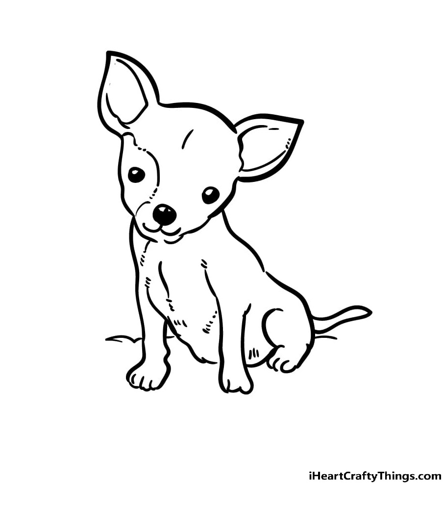 Chihuahua For Kids Coloring Page