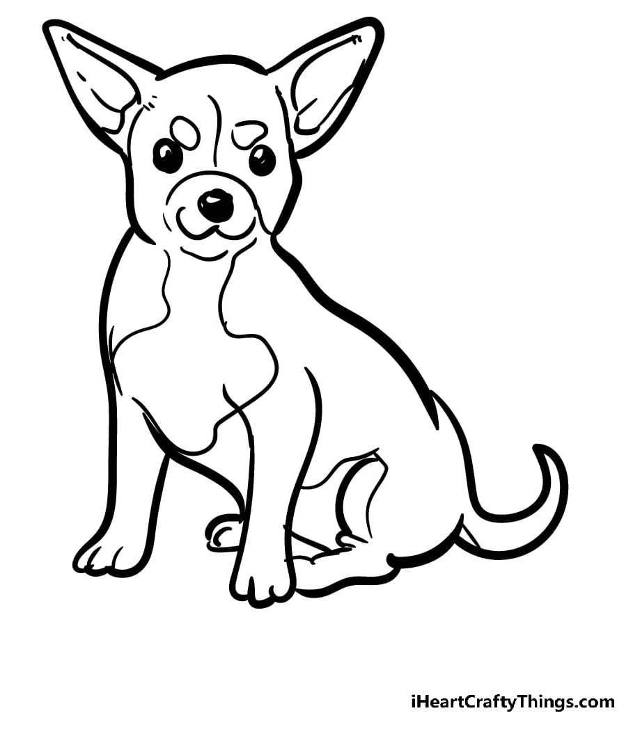 Chihuahua Image For Children