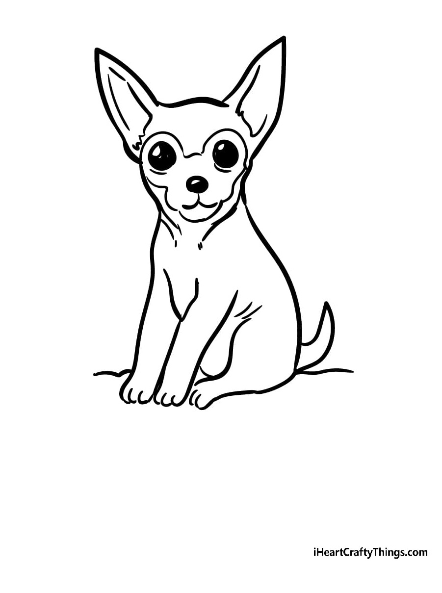 Chihuahua Image Coloring Page