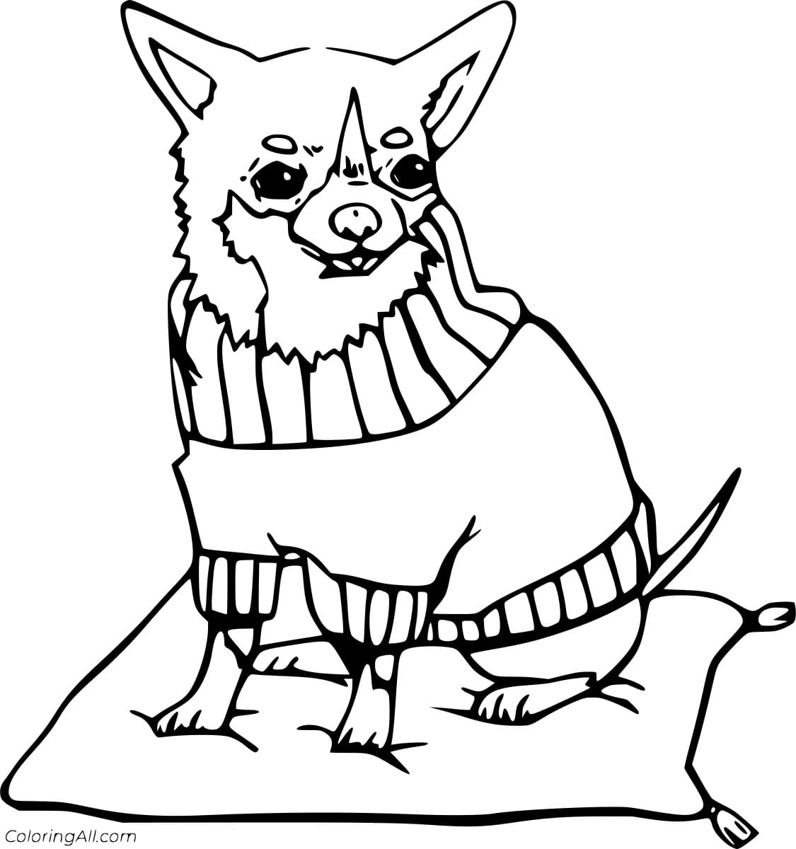 Chihuahua On The Rug Coloring Page