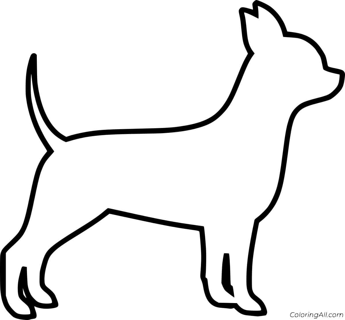 Chihuahua Outline Coloring Page