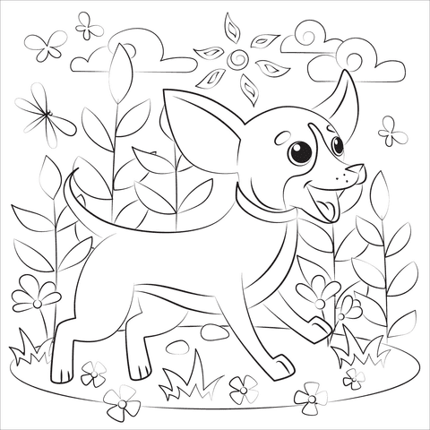 Chihuahua Picture Coloring Page
