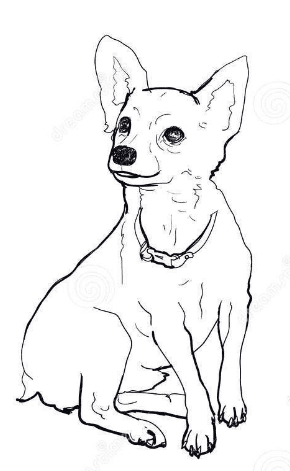 Chihuahua Puppy Image For Children Coloring Page