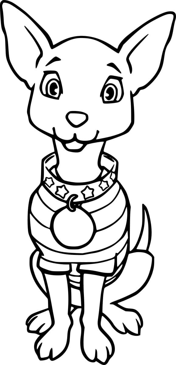 Chihuahua With A Medal Coloring Page
