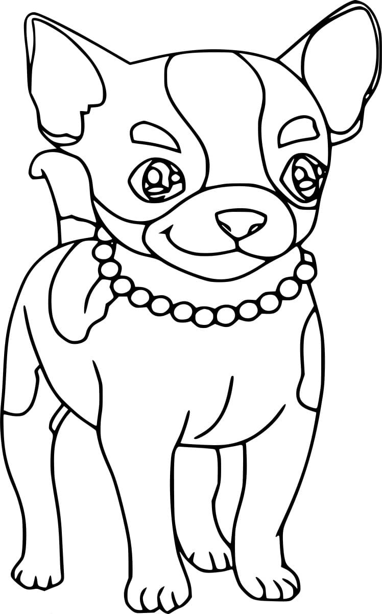Chihuahua With A Necklace Coloring Page
