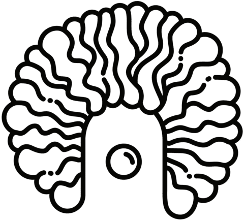 Clown Wig Image Coloring Page