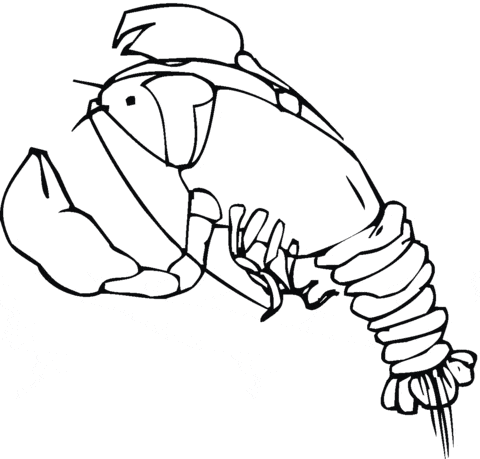 Cold Water Lobster Coloring Page