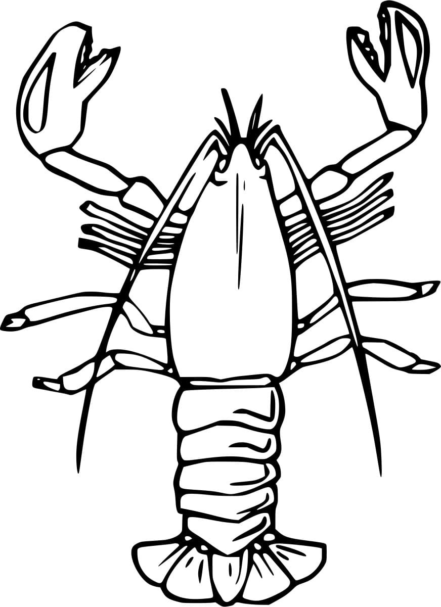 Cold Water Lobster Coloring Page