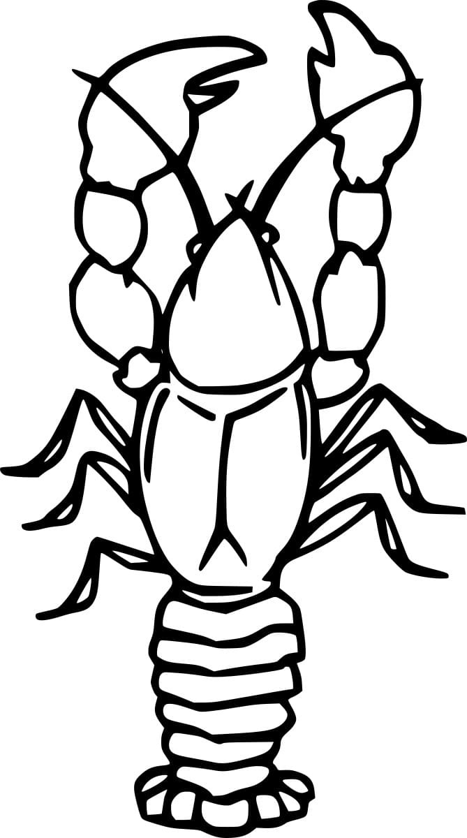 Common Lobster Coloring Page