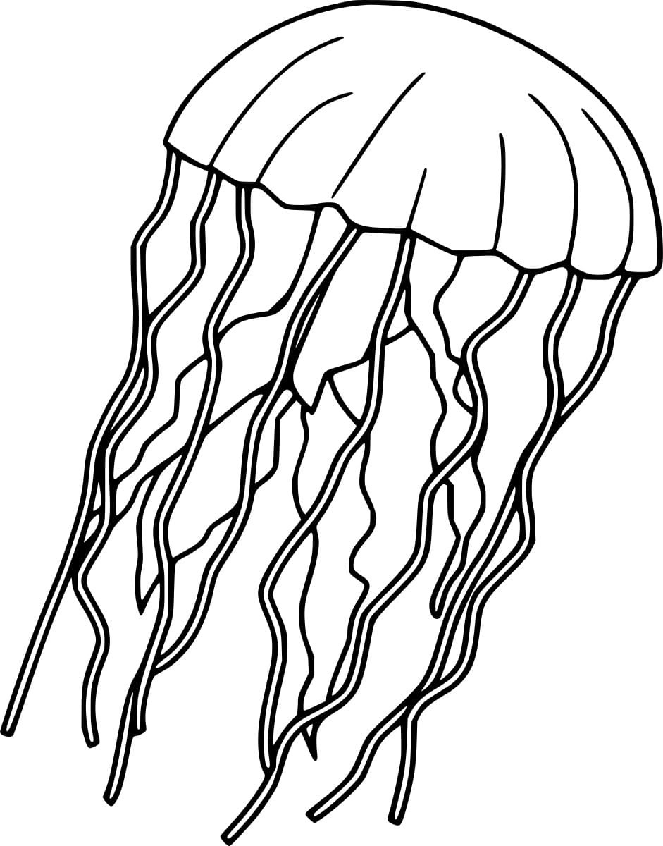 Crystal Jellyfish Coloring Page
