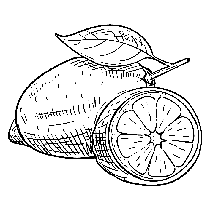 Cut Lemon Image For Children Coloring Page