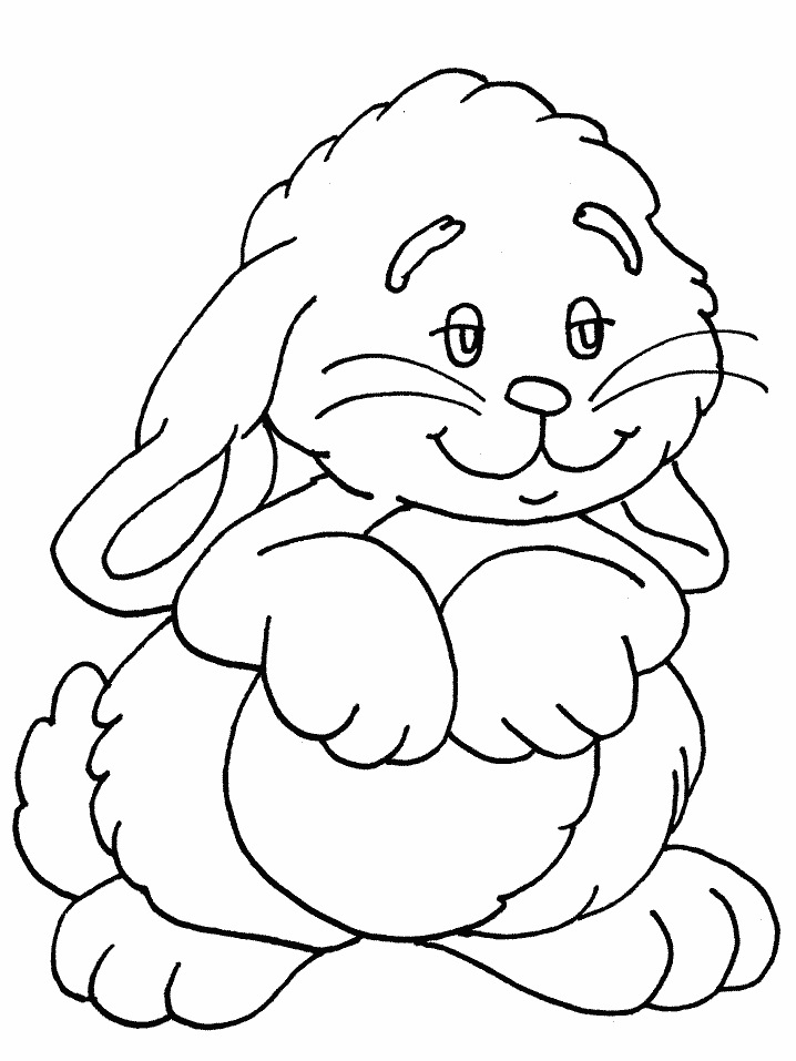 Cute Animal Image Coloring Page