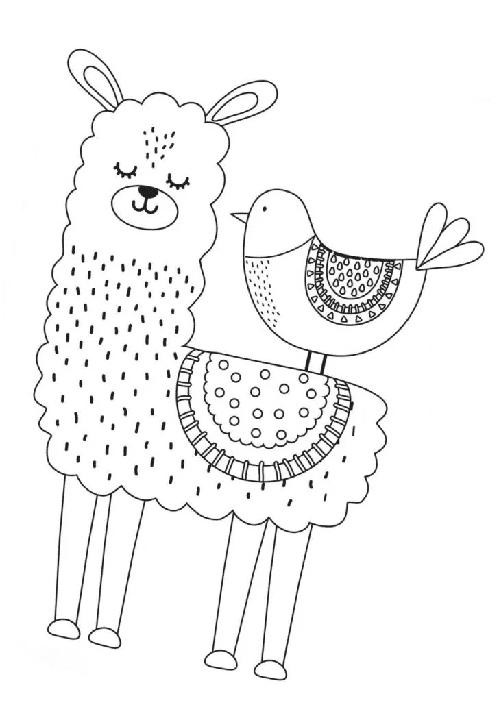 Cute Baby Llama For Kids Coloring Page