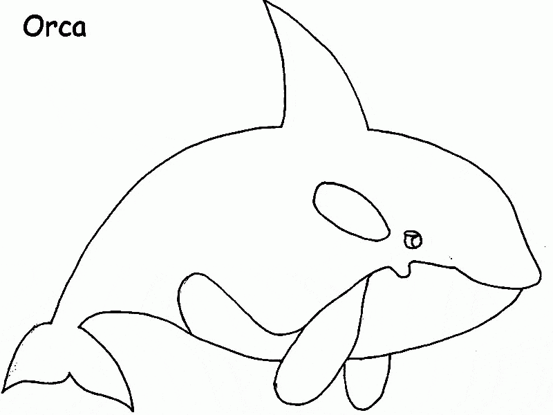Cute Blue Whale Picture Coloring Page