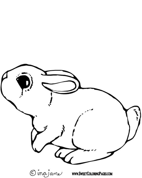 Cute Bunny Rabbit Image Coloring Page