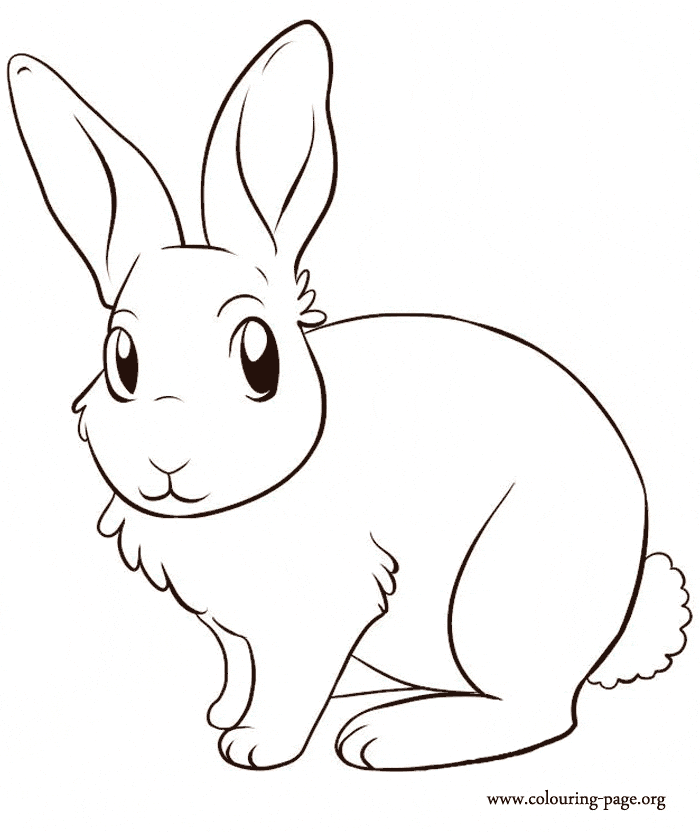 Cute Bunny Rabbit Picture Coloring Page