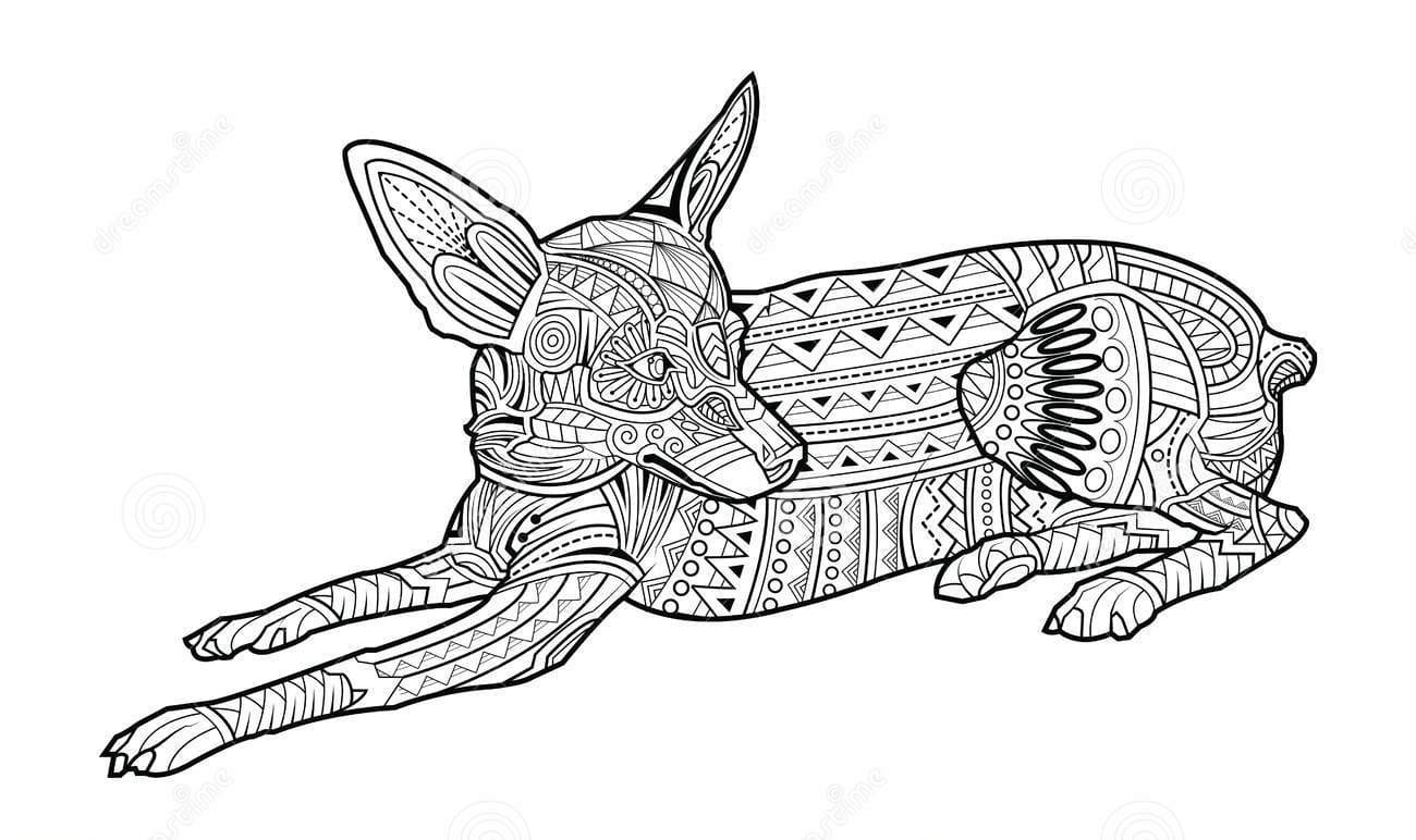 Cute Coloring Dog Of Breed Chihuahua Coloring Page