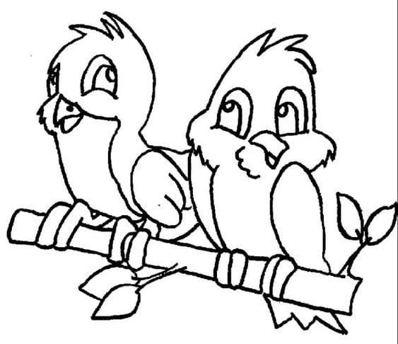 Cute Couple Of Robin Bird Coloring Page