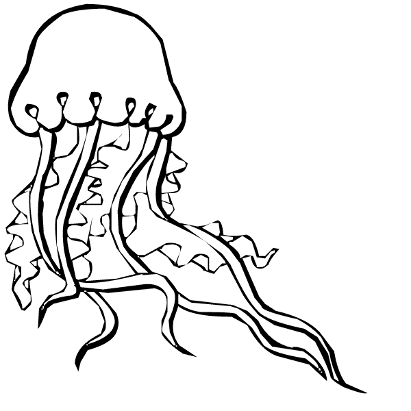 Cute Jellyfish Image For Kids Coloring Page