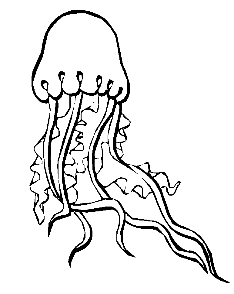 Cute Jellyfish Picture Coloring Page