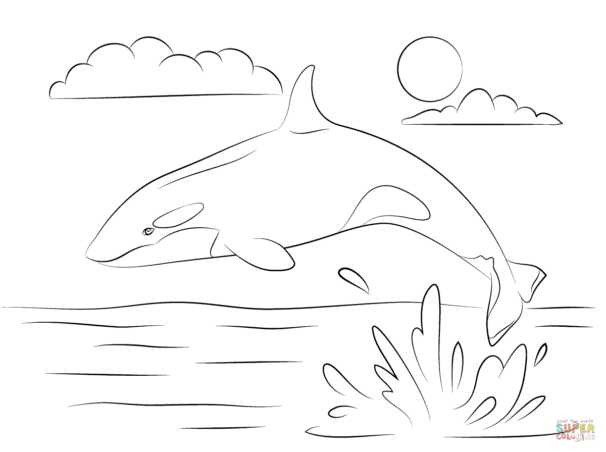 Cute Killer Whale Is Jumping Out Of Water For Kids Coloring Page