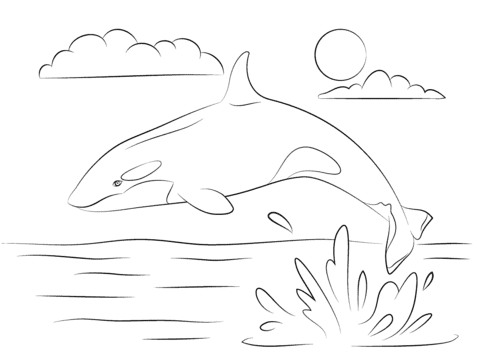 Cute Killer Whale is Jumping Out Of Water Image Coloring Page