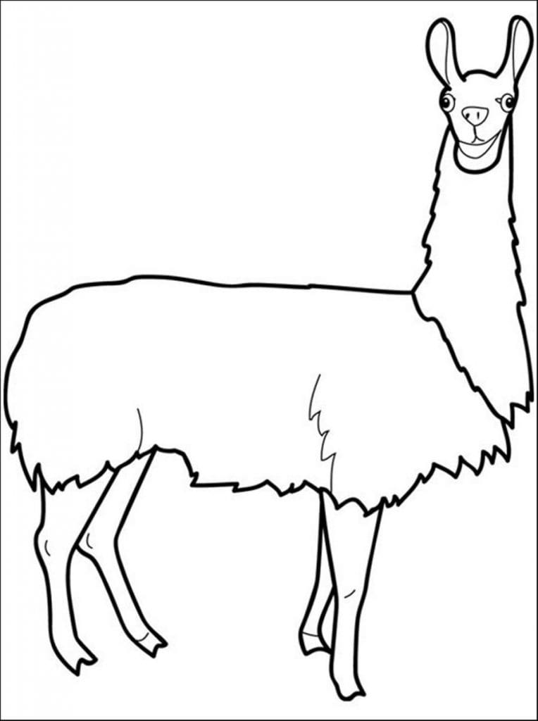 Cute Llama Printable Image Coloring Page