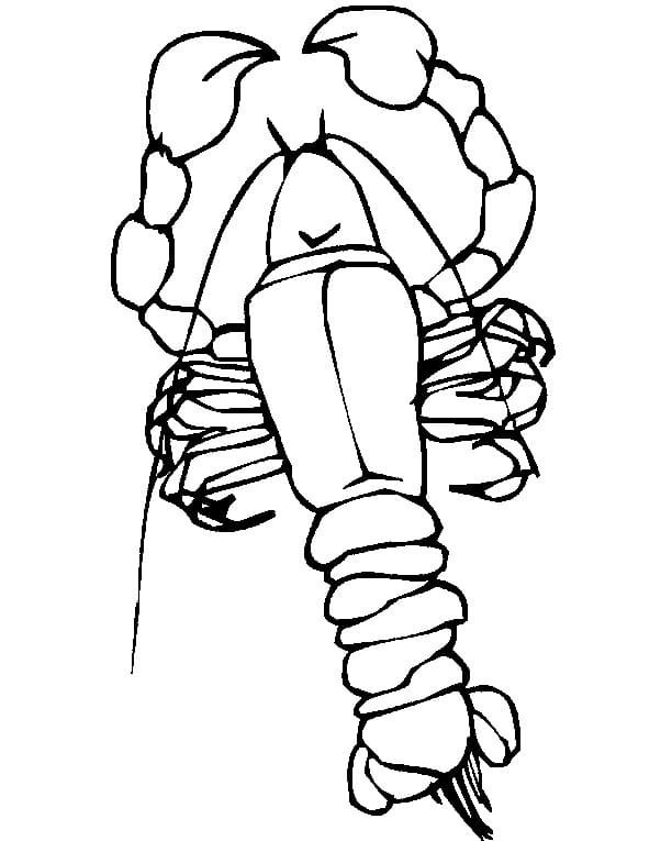 Cute Lobster Image For Kids Coloring Page