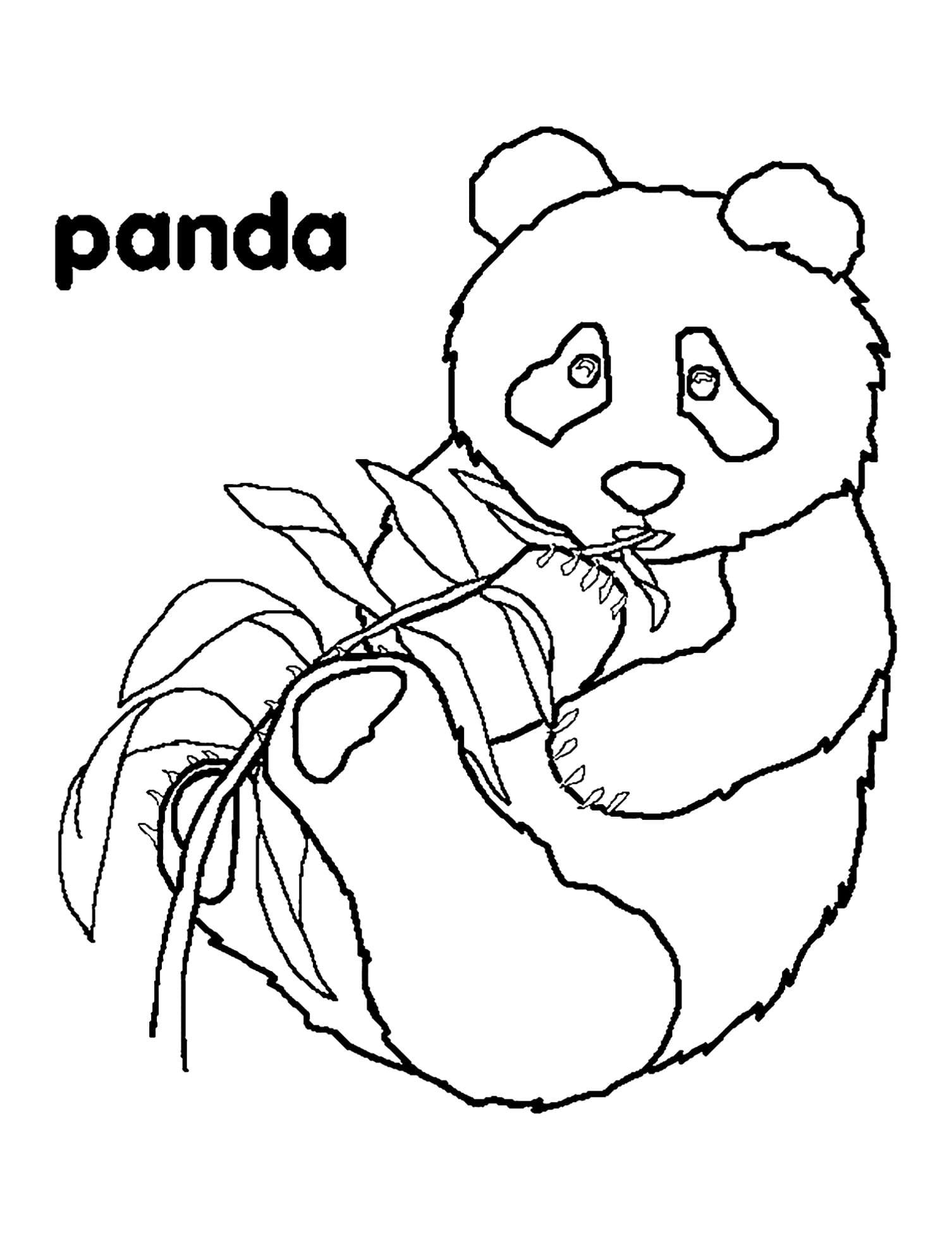 Cute Pandas Image Coloring Page